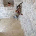 Zita Poreč
